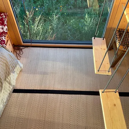 Zenbox Satori - The Place To Ease Your Mind
